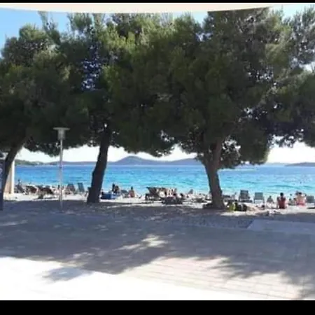 Apartman Guerilla Choice *